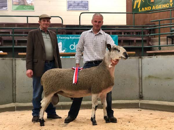 L-R - Mr Edward Wilson (Judge) Mr Chris Walton (Champion Vendor)