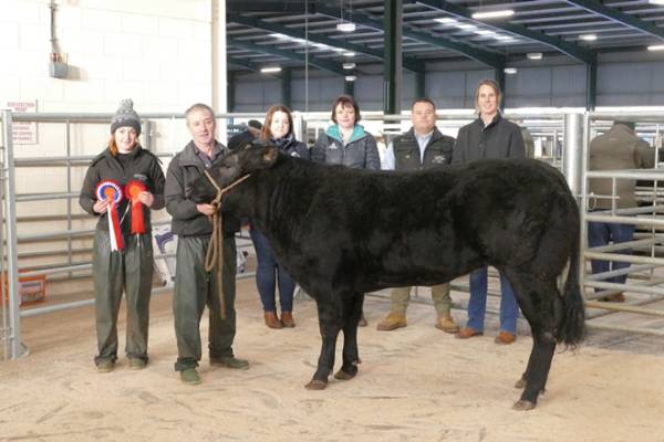 L-R - Sarah Emmott (Vendor), Robert Emmott (Vendor), Donna Thompson (Eden Farm Supplies, Sponsor), Catherine Raine (I'Anson Quality Feeds, Sponsors), Nathan Tiffin (Cornthwaite Group, Sponsors), Elaine Sedgewick (Judge)
