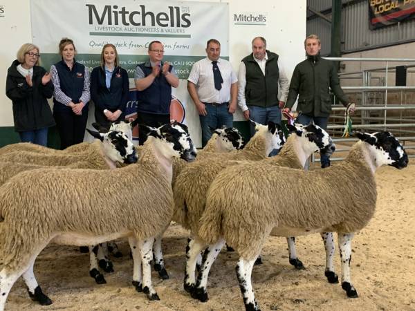 L-R - Sandra Taylor (Sponsors Hundith Hill Hotel), Kirsty Errington & Ellie Stamper (Sponsors Carrs Billington), Jonathan York (Sponsors Armstrong Waton Accountants), Allan Collett (Judge) Norman Story (Judge) Martin Allan (Champion Vendor)