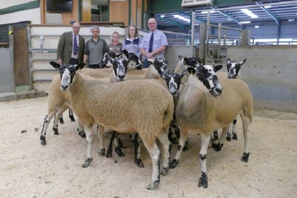 L-R - T Turnham(Judge), D Mattinson(Vendor), T Mattinson(Vendor), C Mattinson(Vendor), P Durham, Macmin (Sponsor).