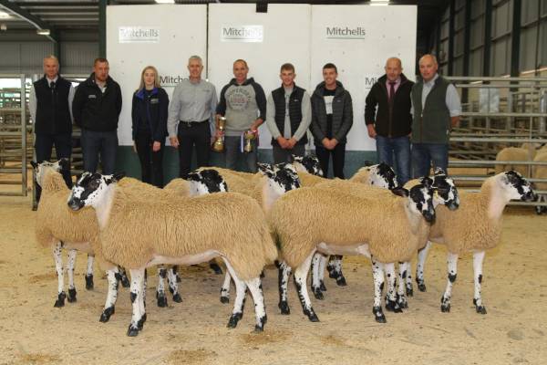 Champion Pen of Lambs from N Marston, Millstone Moor: Andrew Cook (Referee), Ryan James (Hundith Hill), Ellie Stamper (Carrs Billington), Keith Fulton (Lakeland Trailers & Services), Neil Marston, Edward & James Mawson, Trevor Foster (Judge), Bruce Davies