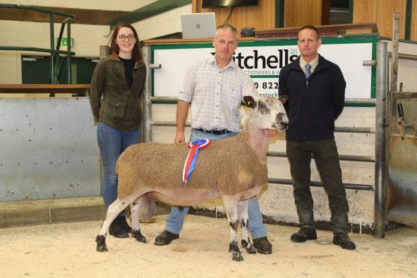 L-R - C Raine (Sponsors Dodd & Co), Mr C Walton, (Vendor), Mr  A Fell (Judge)