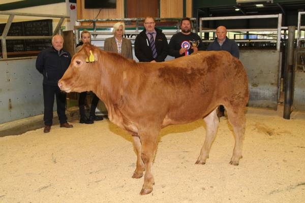 L-R - Mr A Jackson (Sponsor Gates Tyres), Mrs D Draper, Mrs A Smith, Mr J Cosker (Sponsor NFU), Mr S Powley (Vendor), Mr A Graham (Judge)