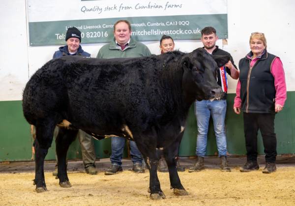 Champion - T Pearson&Son, High Plaskett Lands