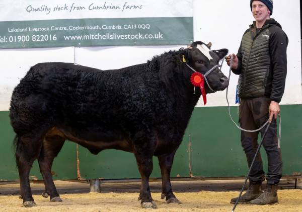 Reserve Champion - IL&PM Grainger, Kiln Close