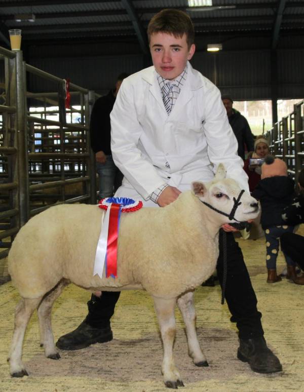 Champion Young Handler - Mr Matthew Benson, Horrace Farm 