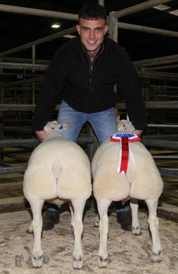 Champion Sheep - Mr Adam Brown, Parkhouse 