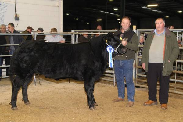 Reserve champion from A Barnett, Brinns Farm 