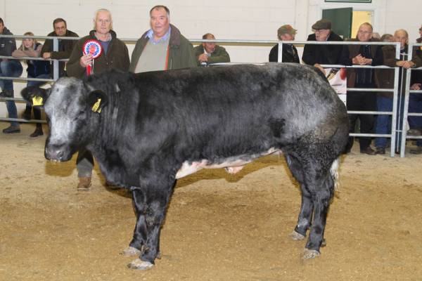 Champion from A Barnett, Brinns Farm 