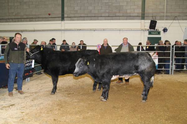 Champion and Reserve Champion Animal from A Barnett, Brinns Farm 