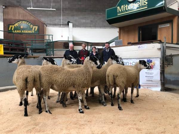 L-R - Judge - Mr J Bell, Champion vendors - Mr D Mattinson & Mrs C Mattinson, Judge - Mr A Mackintosh