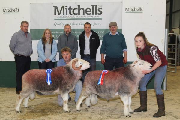 L-R Mr P Butterwork (Sponsors Hundith Hill Hotel), Ms E Woodend & Mr P Allison (Sponsors Robinson & Co Accountants), Mr A Race (Judge) Mr W Tyson (Judge).  Front of picture Reserve Champion WS Jackson, Nook Farm and Champion M & GM Fox, Crosbythwaite.