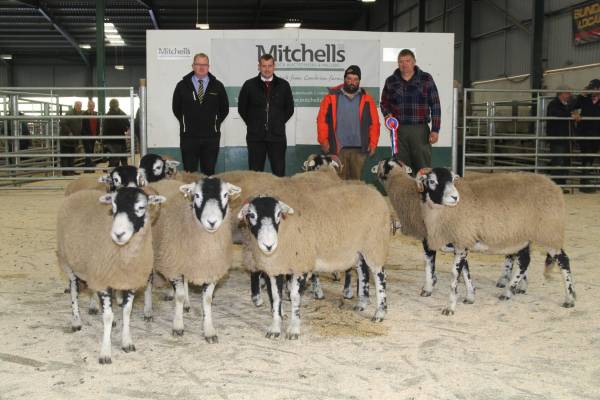 L-R - Mr Jim Cosker, (NFU Sponsors), Mr Michael Peile (David Allen Accountants (Sponsors), Mr Chris Heath (Judge) Mr Thomas Hutton (Vendor)
