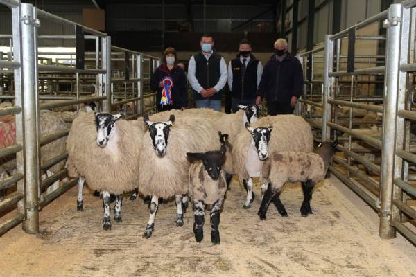 Left to Right- Sue Winter(vendor), Thomas Hird(Judge), Mark Gorst(Sponsor), James Winter(Vendor) 