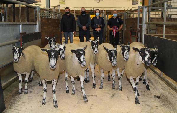 L - R - Mr A McTear (Judge), Mr P Durham (Sponsor Macmin), Mrs C Mattinson & Mr D Marttinson (Vendors)