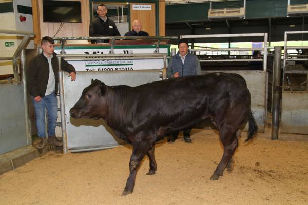 L-R - Josh Pearson (Judge), Cameron Tyler (Sponsor - Lloyds Motor Group), Andrew Jackon (Sponsor - Gates Tyres), Edward Traffod (Vendor)
