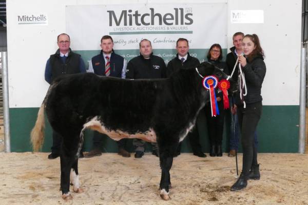 L-R - Mr Peter Durham (Macmin Sponsors), Mr Oliver Gray (Rickerby's Sponsor), Mr Mark Norman (Fultons Sponsor), Mr Robert Wharton (Dodd & co Sponsors), Ms Sue Carling (Fultons Sponsors), Mr David Jarman, (Judge) Miss Charisse Millard (Champion vendor)