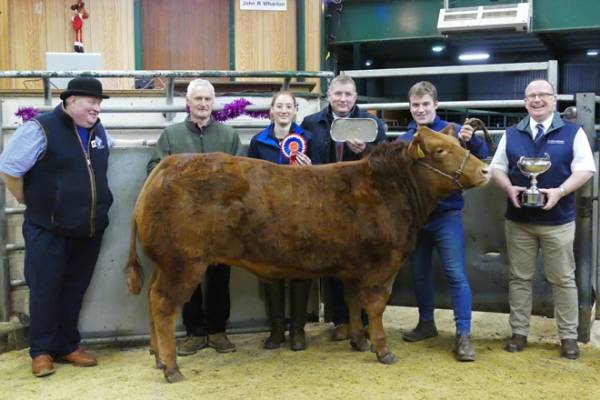 – L-R Philip Parkin, Parkin Family Butchers (Judge), Alan Barnett (Vendor), Ellie Stamper (Carrs Billington – sponsor), David Parkin, Parkin Family Butchers (Judge), Robert Stott, Jonathan York (Armstrong Watson Accountants – Sponsor)