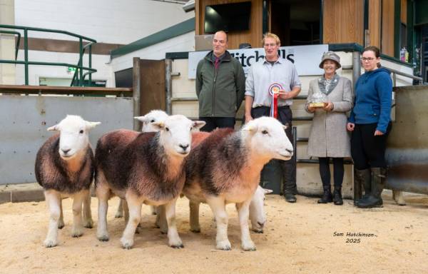 Champion Pen of Ewes - R Wilkinson & R Tennant, Gatesgarth Farm