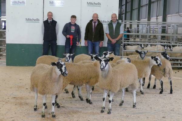 1st Prize Small Breeders- JT Davidson, Bell Mount