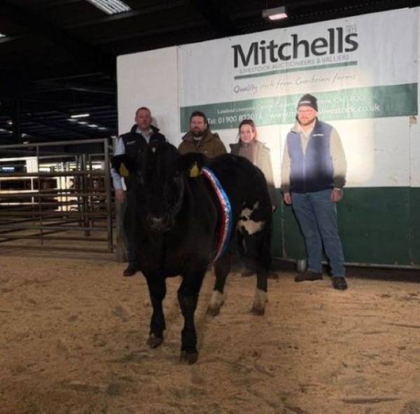 Champion Animal - Left to Right - David Walker (Harbro), Stephen Powley (Vendor), Sophie Watt (Judge), Olaf (RobinsonMitchell)