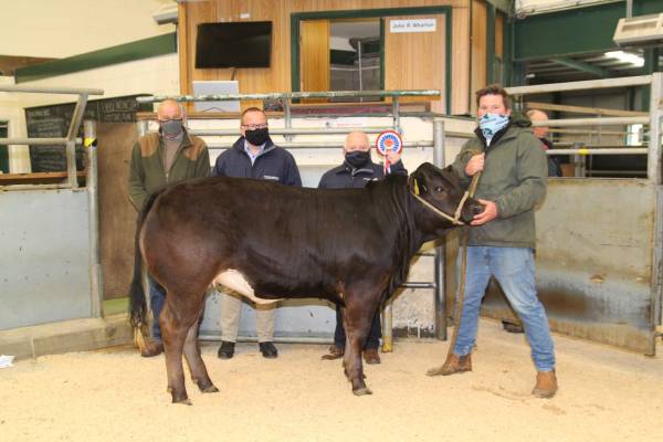 Left to Right- Johnny Stobart(Judge), G Thompson(Sponsor-GT Tyres), Denise Osborn(Sponsor- Brockbank Solicitors), Josephine Walker(Sponsor- Brockbank Solicitors), David Miller, (Sponsor- Dugdale Nutrition), Simon(Sponsor- Carrs Billington), Thomas Traffor