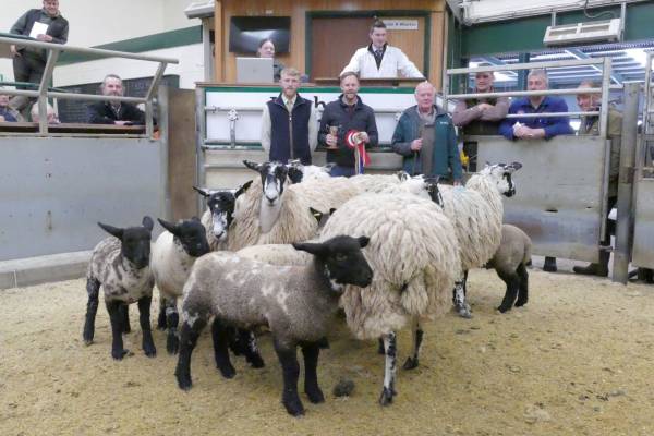 Left to Right - Jack Shaw (Judge), Kevin Sowerby (Vendor) Ian Sowerby (Vendor)
